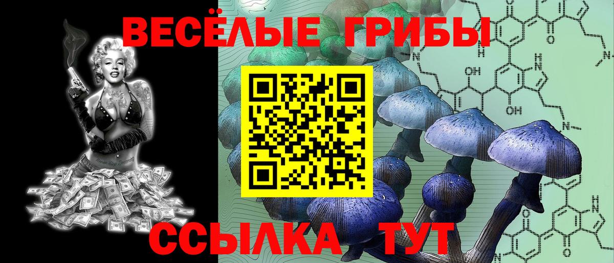 Галлюциногенные грибы ЛСД  Псилоцибиновые грибы Psilocybe  Вход с VPN  Строитель 